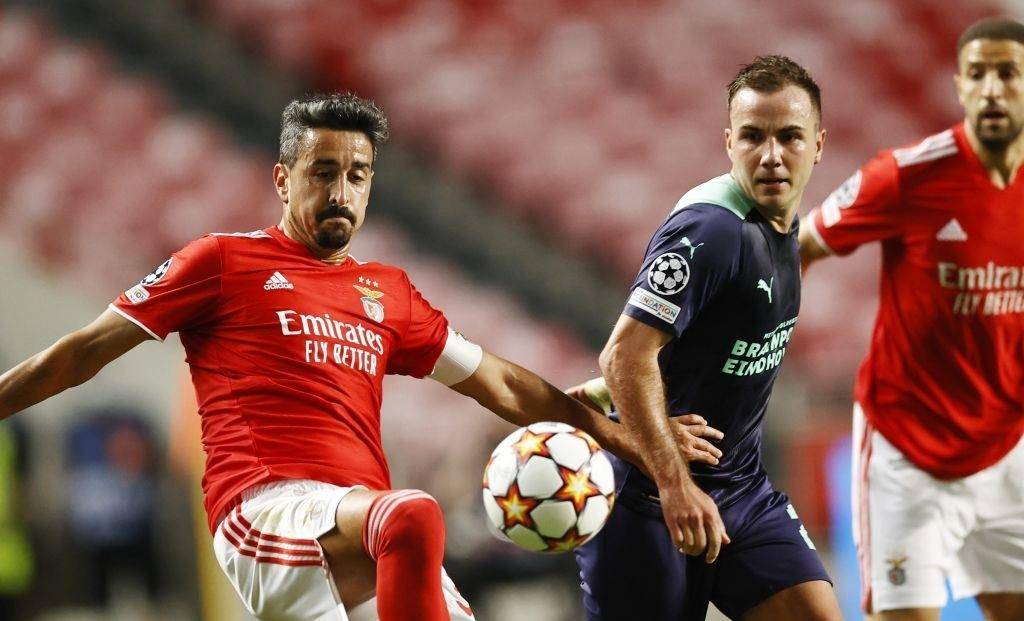 高尔夫球迷 高尔夫球迷