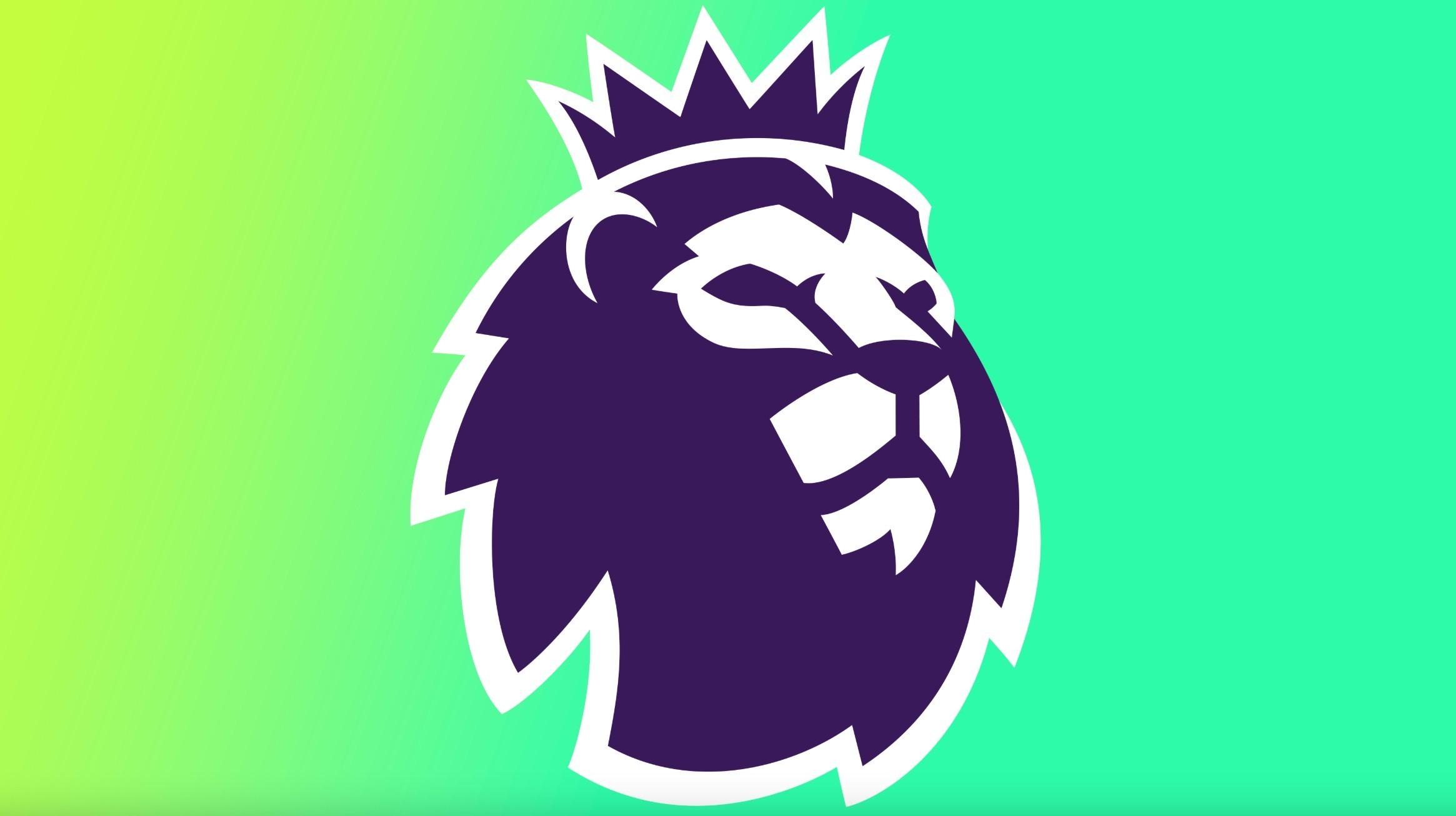 体育项目的 体育项目的